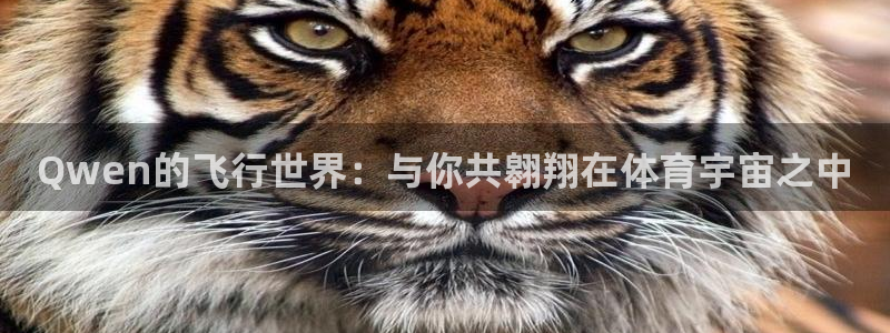 Qwen的飞行世界：与你共翱翔在体育宇宙之中