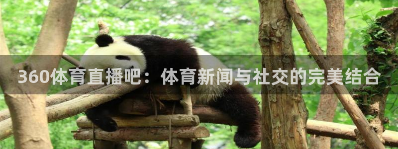 360体育直播吧：体育新闻与社交的完美结合