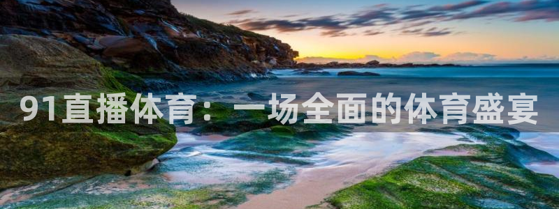 91直播体育：一场全面的体育盛宴