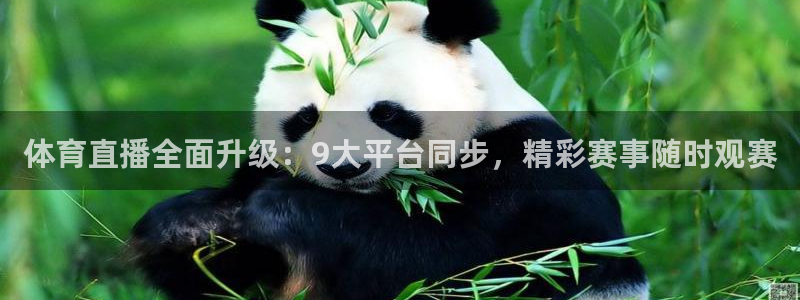 体育直播全面升级：9大平台同步，精彩赛事随时观赛